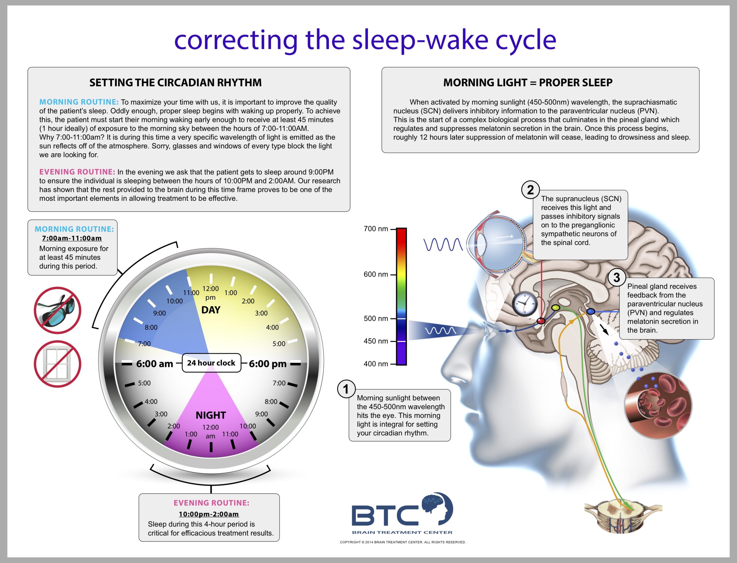 Circadian Rhythm Poster Brain Treatment Center Of Dallas